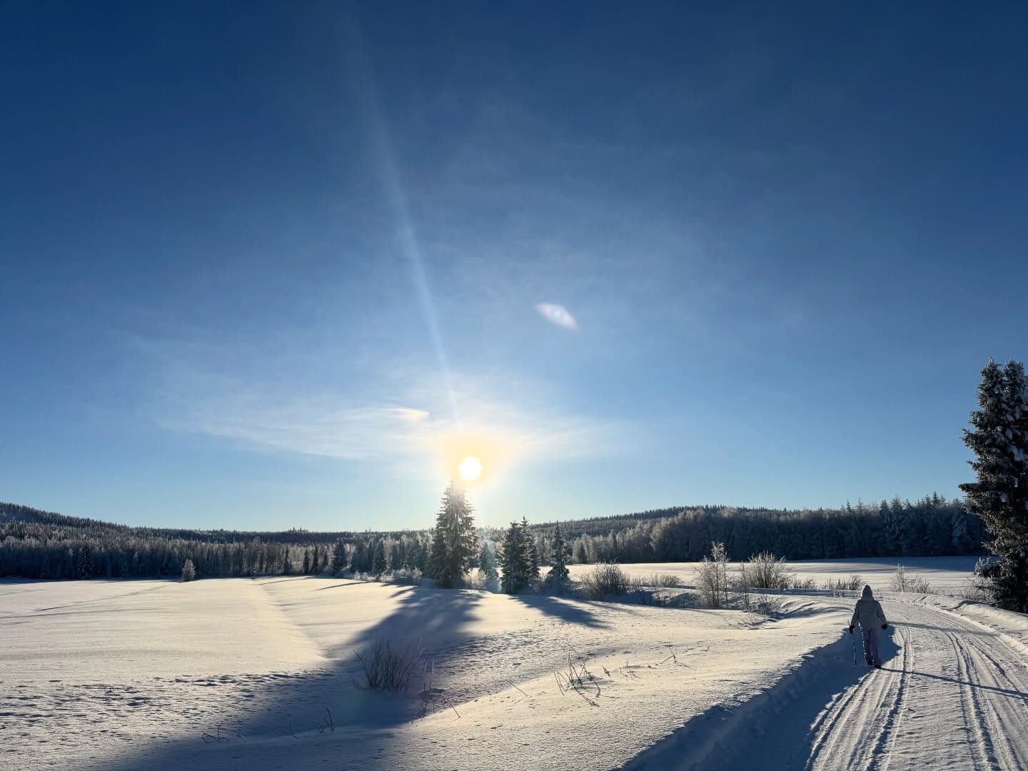 Kimberley in the snow