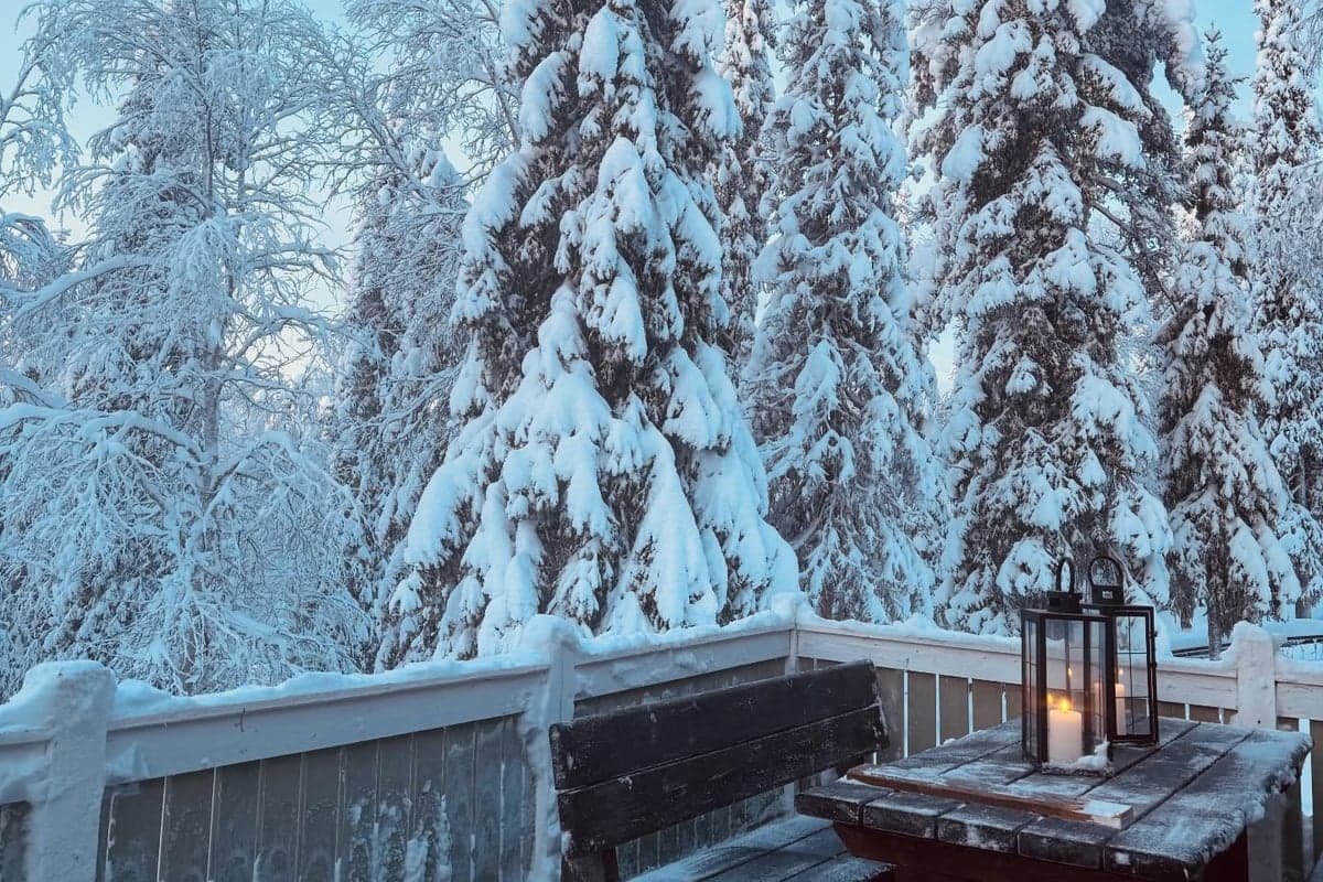 Best Time to Visit Finnish Lapland: Month by Month