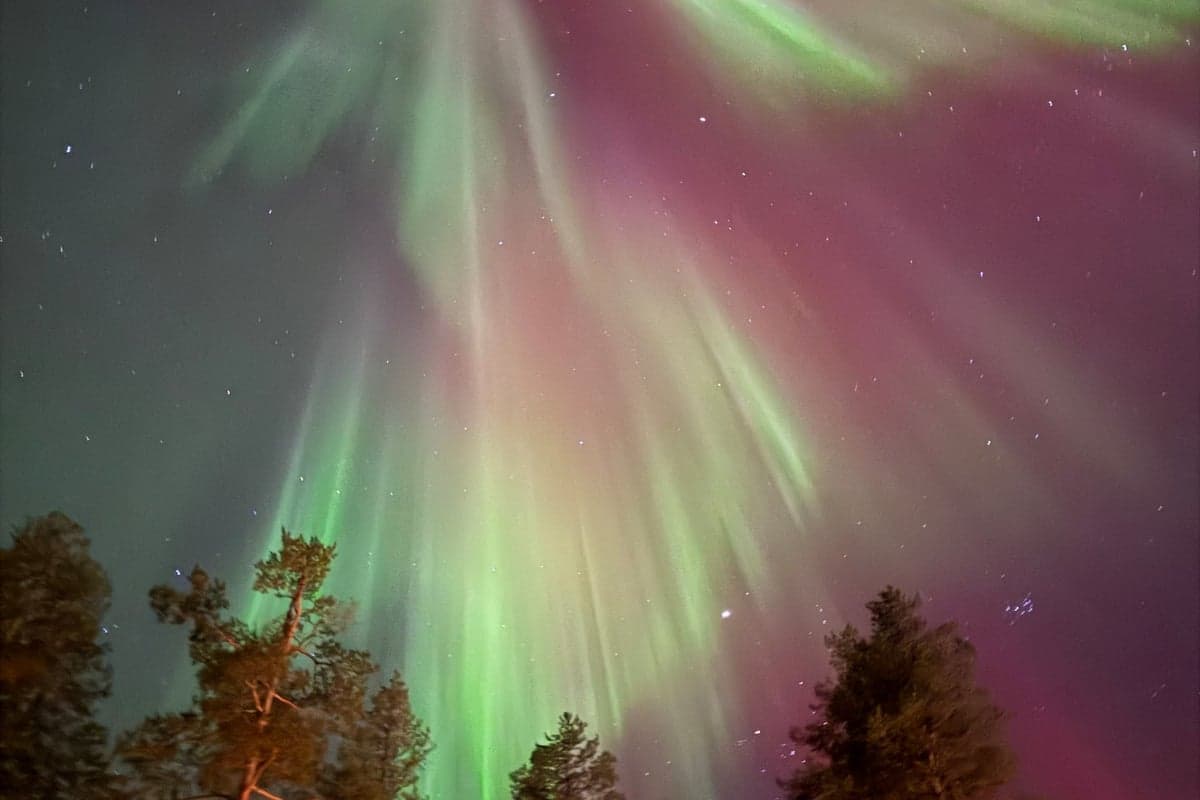 Skycabin — Photo 2