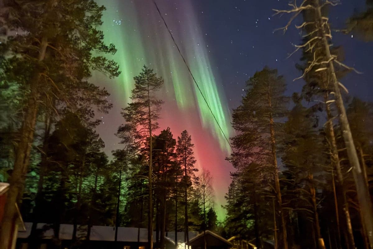 Skycabin — Photo 3