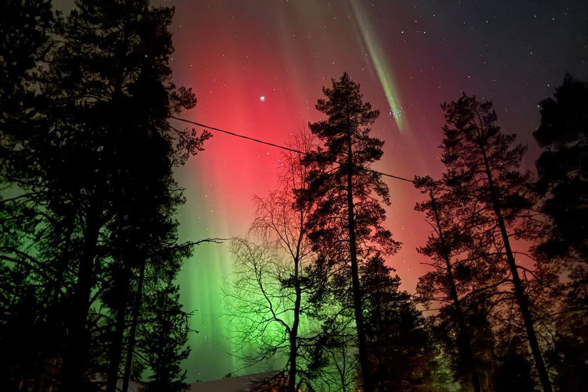 Skycabin — Photo 4