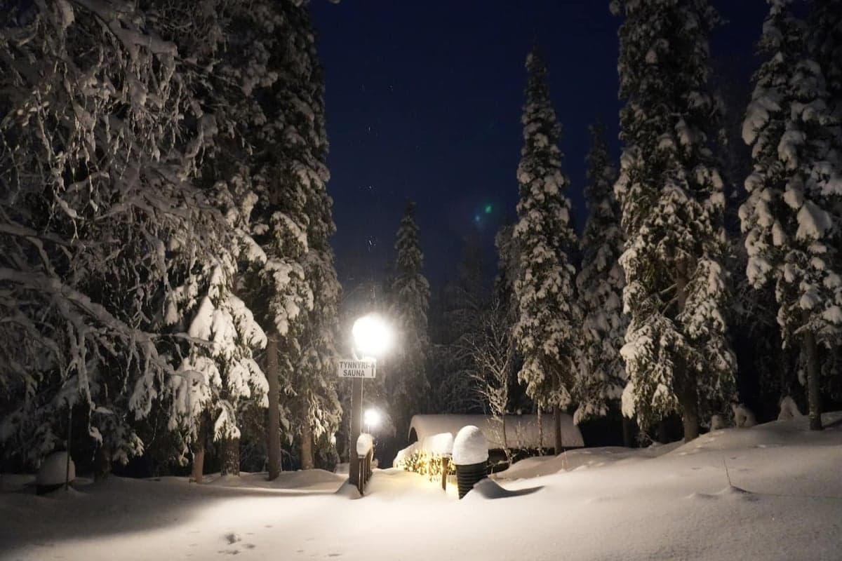 Levikka — Photo 16