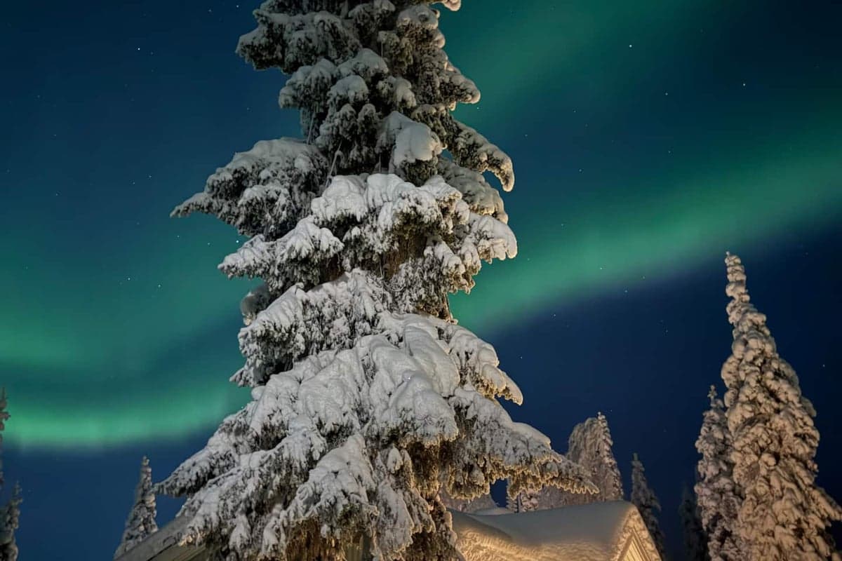 Levikka — Photo 19