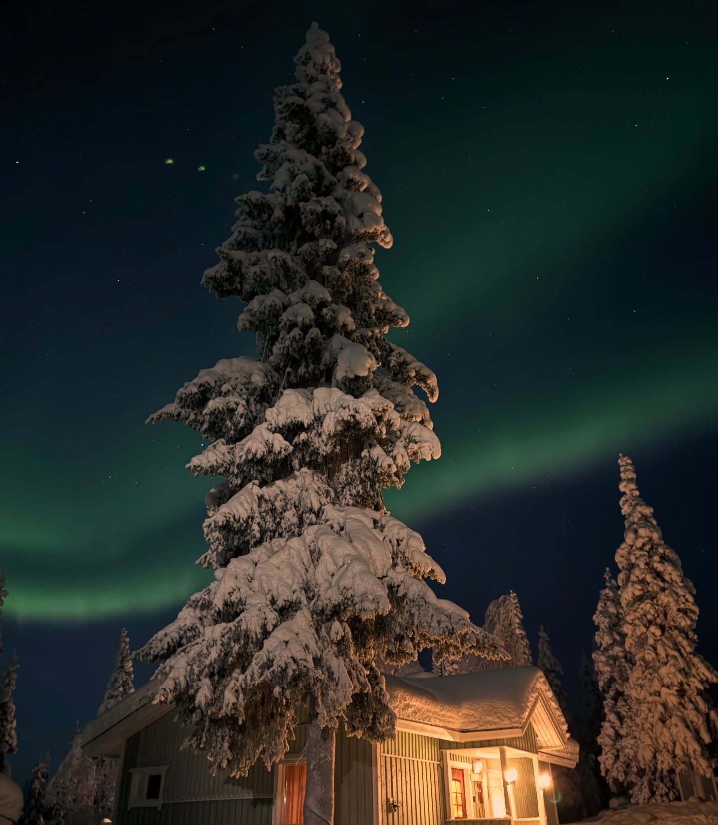 Northern lights aurora borealis over snow-laden trees and Kettura cabin in Ylläs