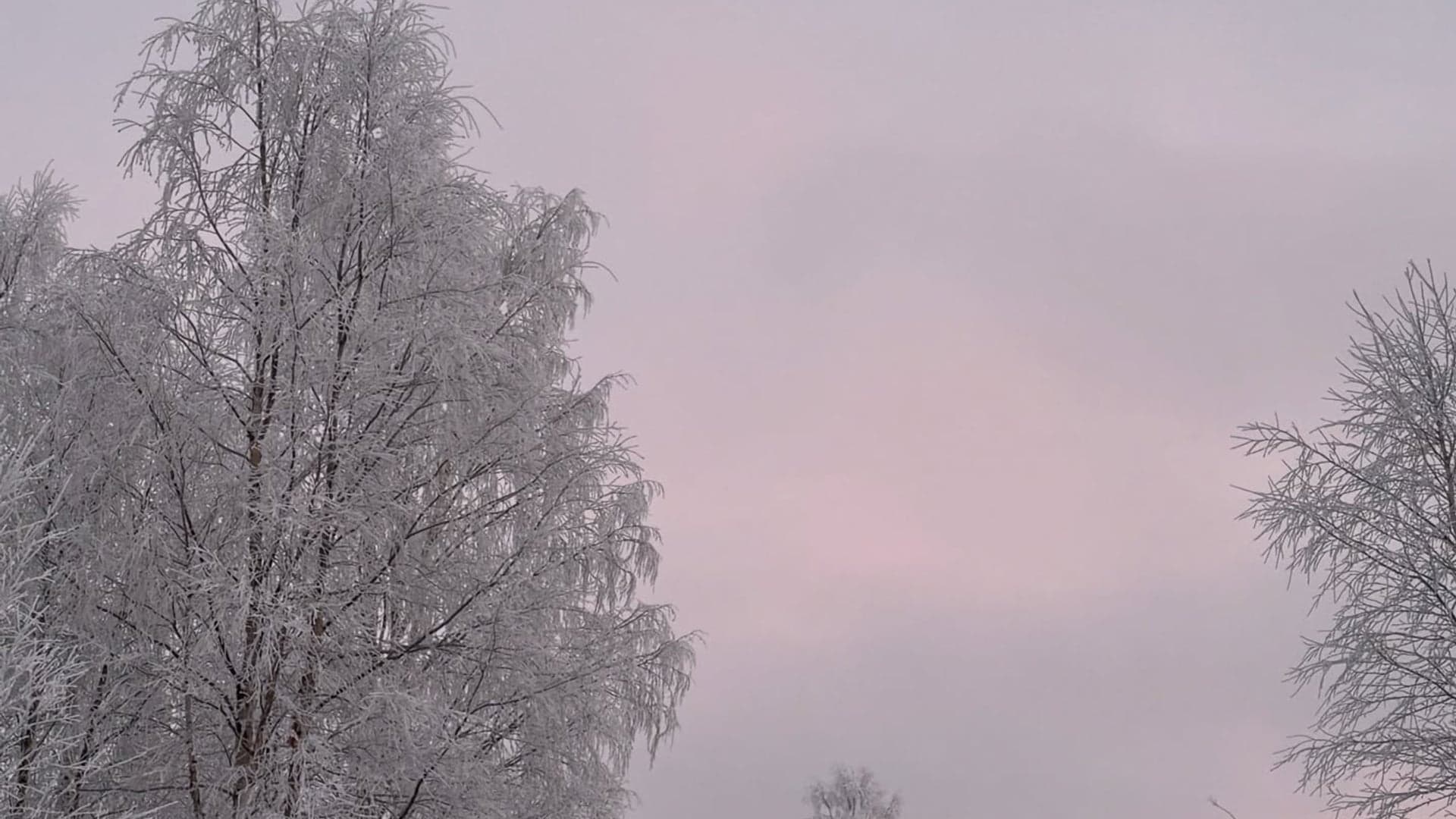 What to Pack for Lapland in Winter & Summer